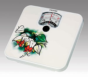 Mechanic Bathroom Scale